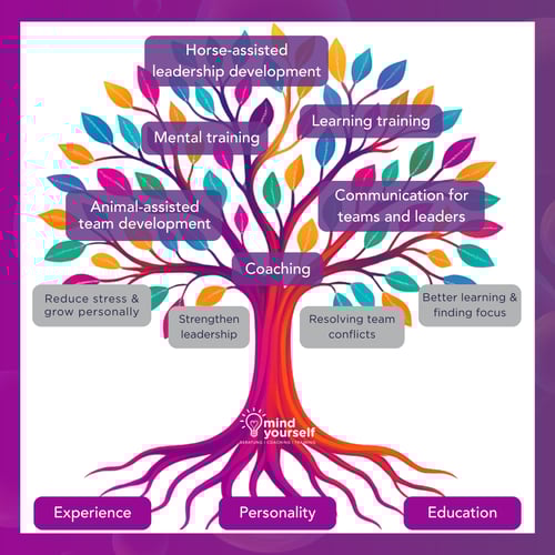 LI Vorstellung MY en